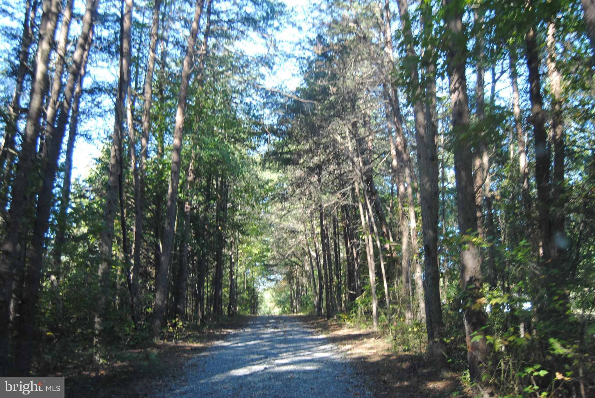 2005 Country Road Beaverdam, VA 23015 - Photo 27 of 28