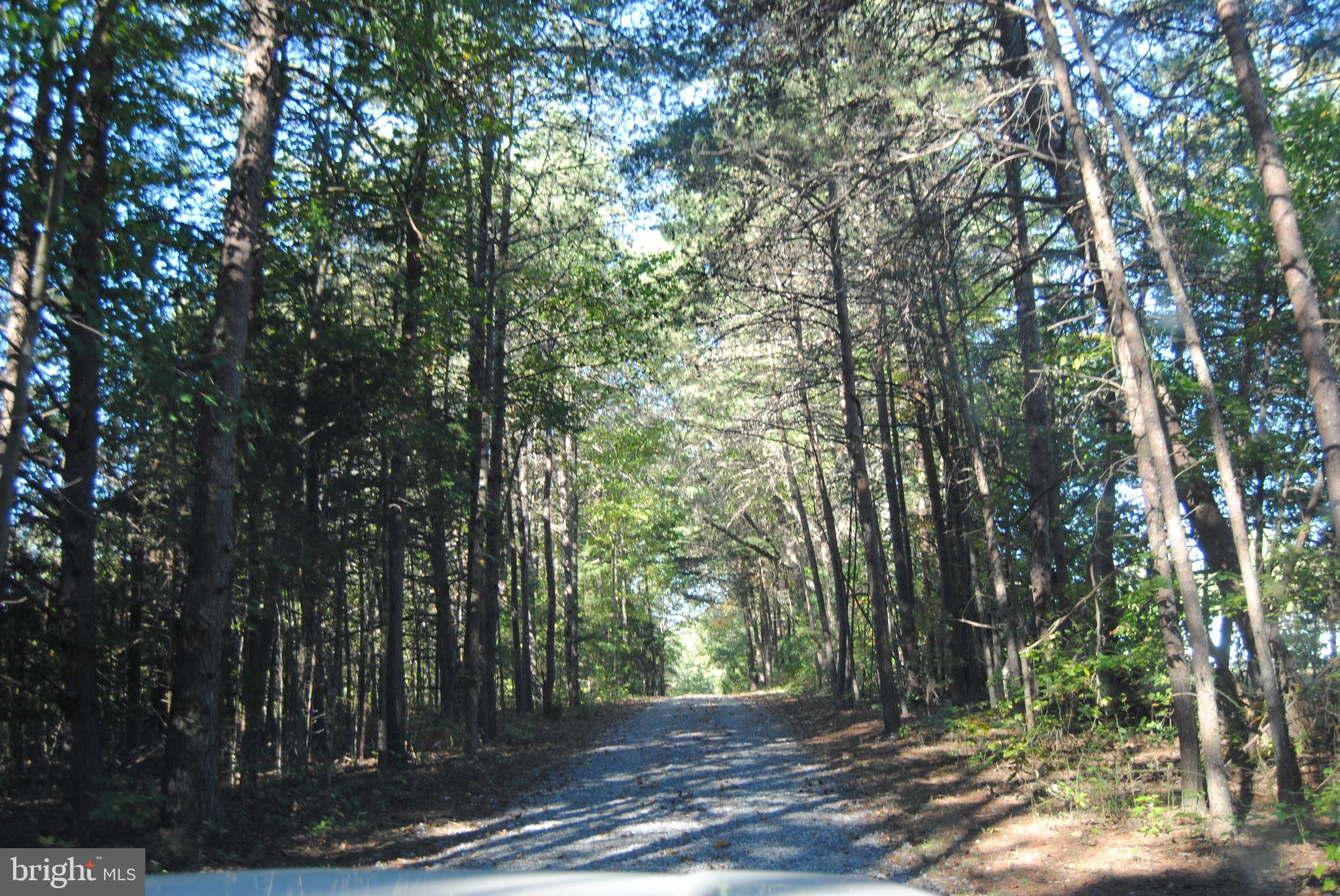 2005 Country Road Beaverdam, VA 23015 - Photo 28 of 28
