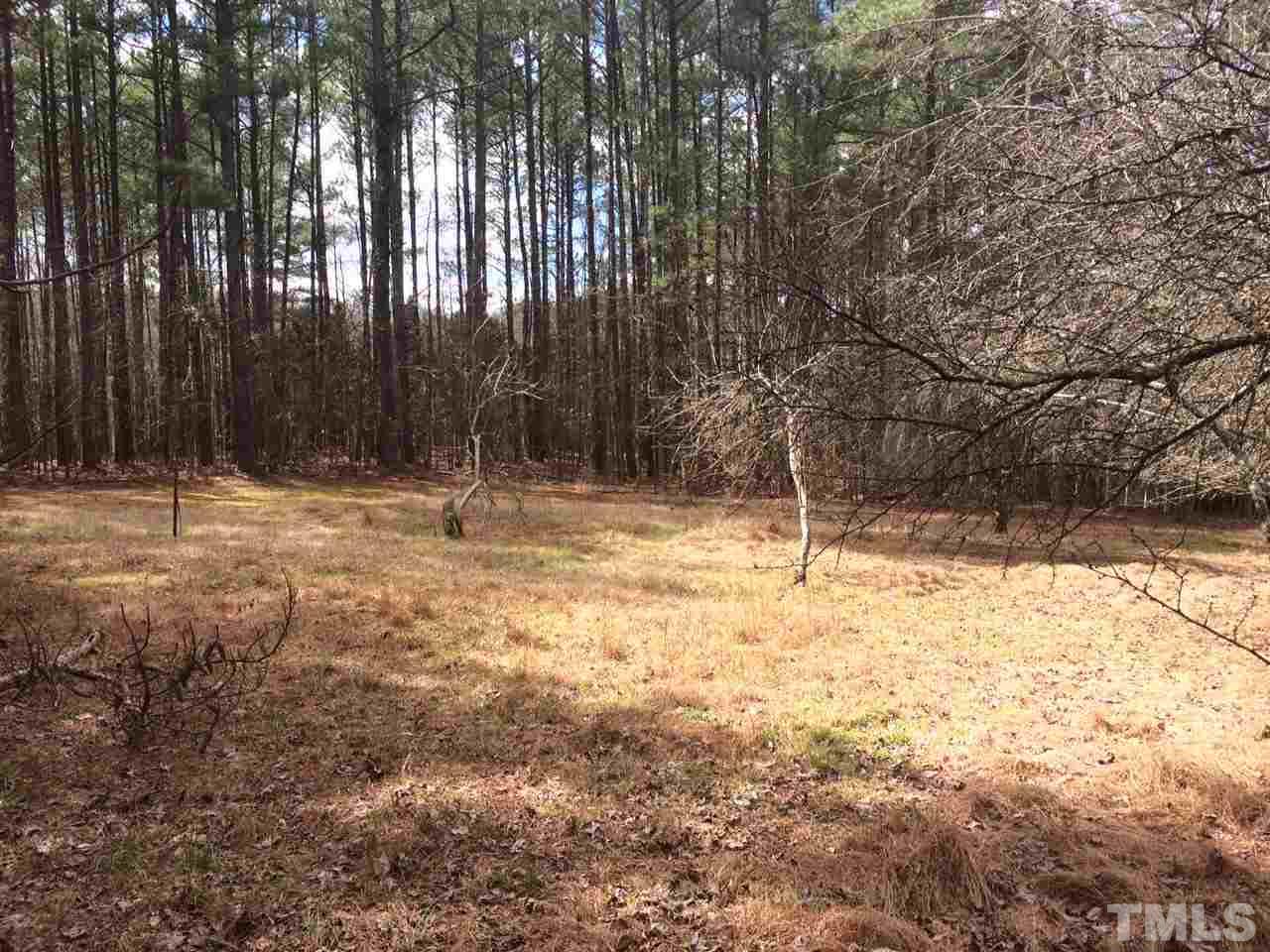 1117 East Ferrell Road Apex, NC 27523 - Photo 11 of 20 Gallery Image 11