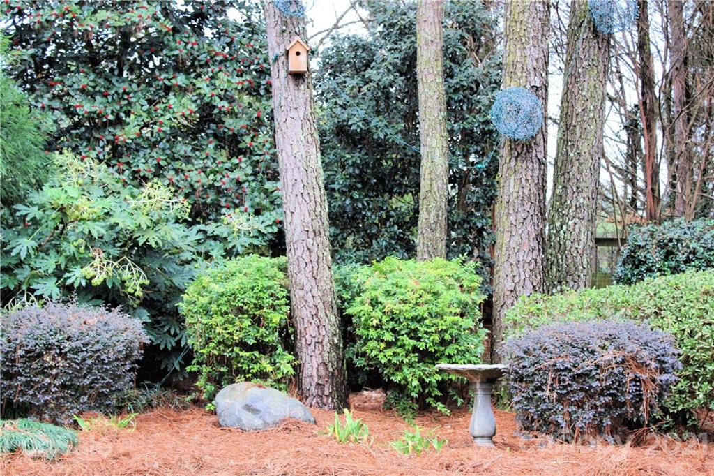 4601 Nora's Path Road Charlotte, NC 28226 - Photo 21 of 25 Gallery Image 21