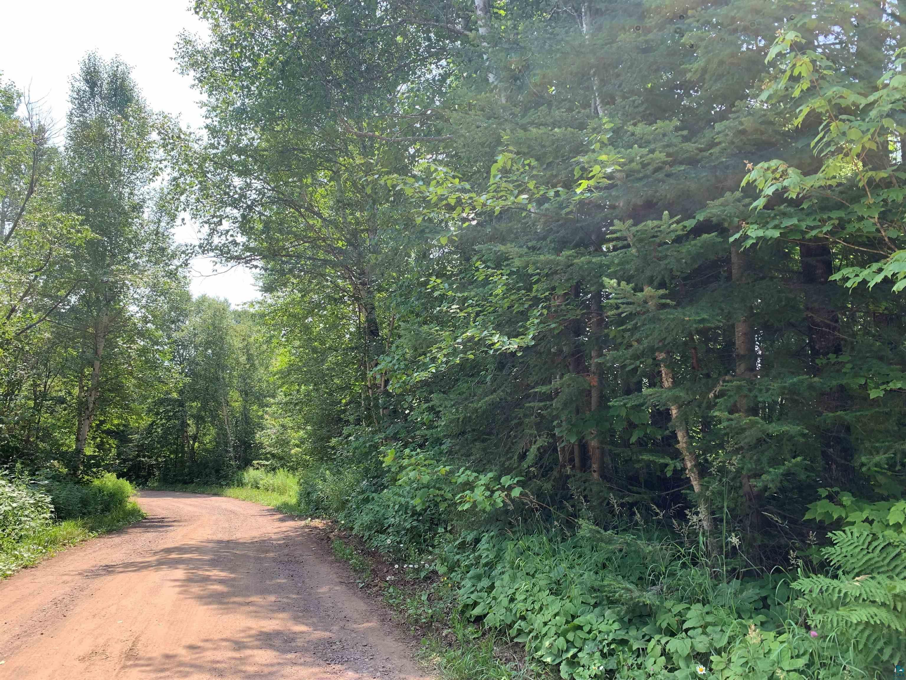 45 X Caspers Hill Grand Marais, MN 55604 - Photo 1 of 5 View of road
