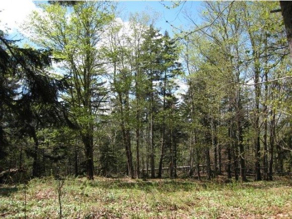 Lot 19 Burnt Mountain Road Antrim, NH 03440 - Photo 3 of 6 Gallery Image 3
