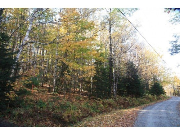 Lot 19 Burnt Mountain Road Antrim, NH 03440 - Photo 5 of 6 Gallery Image 5