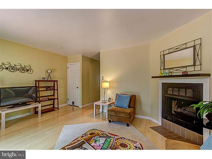 407 Eagle Road Wayne, PA 19087 - Photo 6 of 25 Living Room