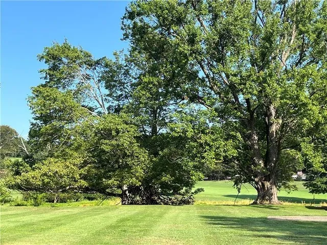 a view of swimming pool with a big yard and large trees