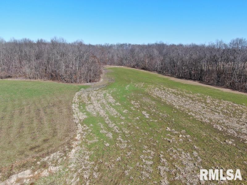 East 1950th Road Dennison, IL 62423 - Photo 19 of 79 Gallery Image 19
