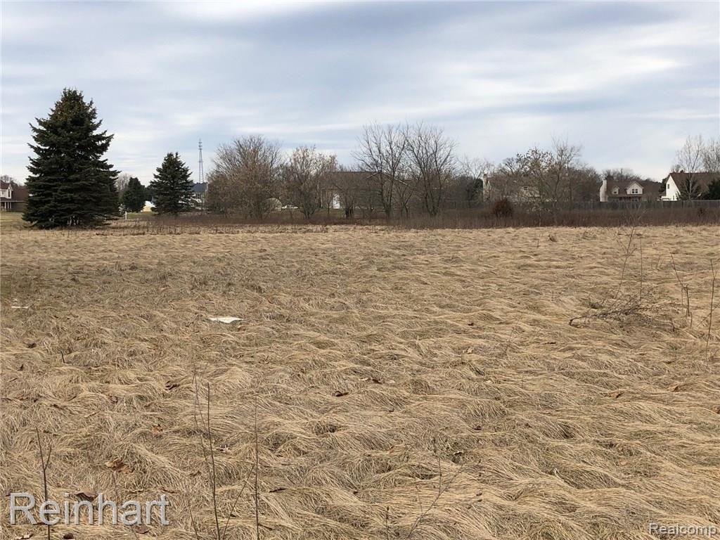 0 Dexter-Pinckney Road Pinckney, MI 48169 - Photo 7 of 9