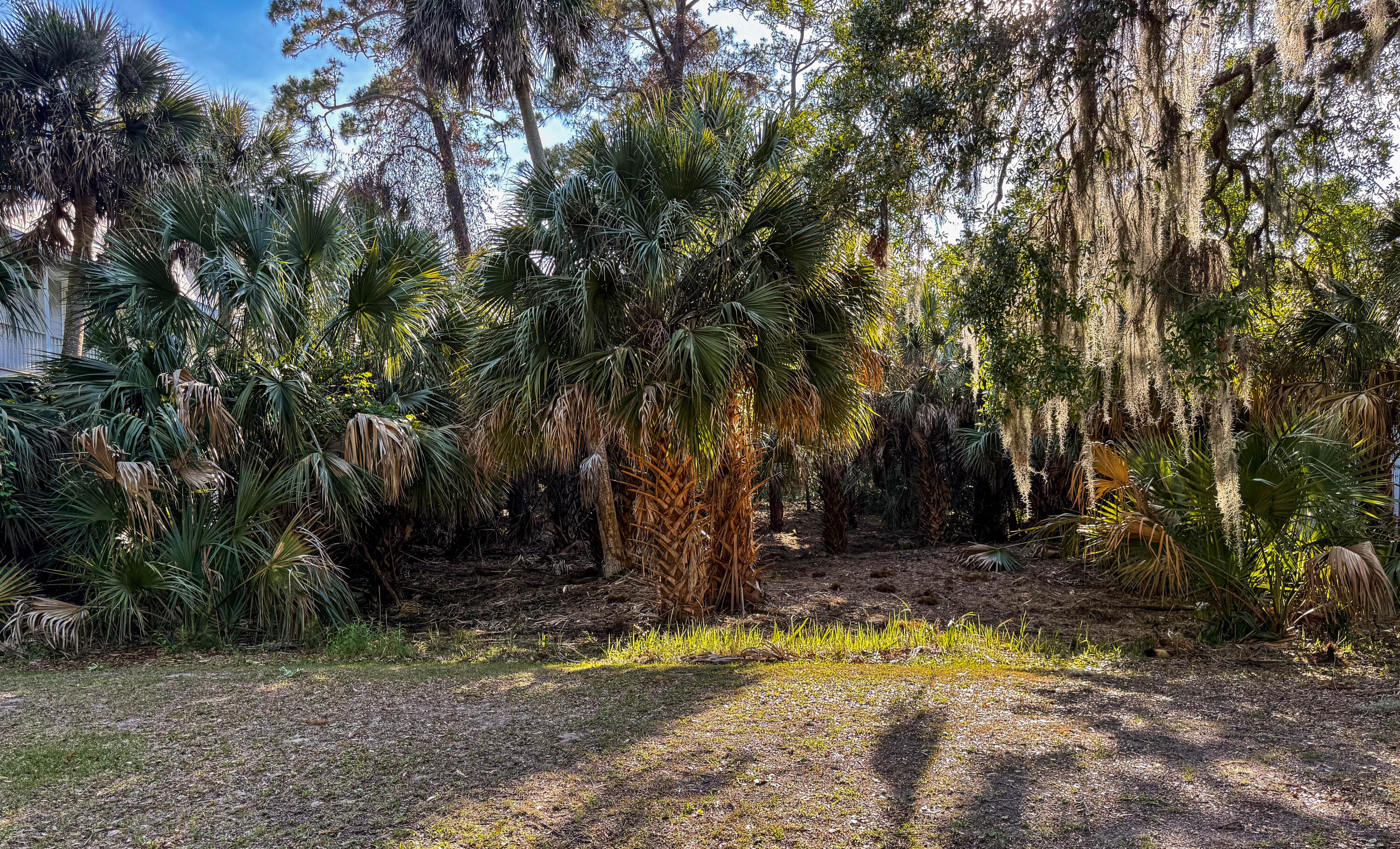 3303 Fort Street Edisto Island, SC 29438 - Photo 26 of 27 Fort-Lot-25