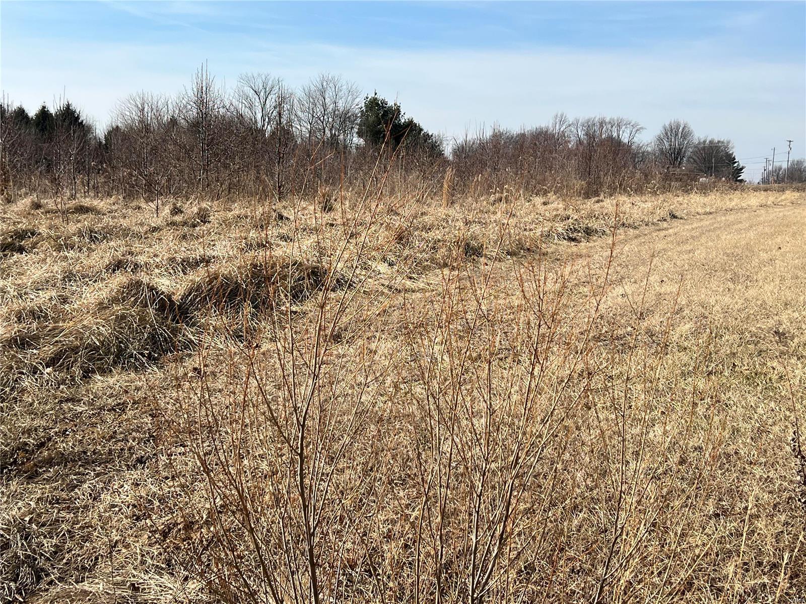4033 Hatfield Road Bethalto, IL 62010 - Photo 1 of 1