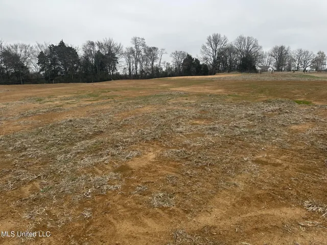 $69,900 | 2 Bett Road, Coldwater, MS 38618