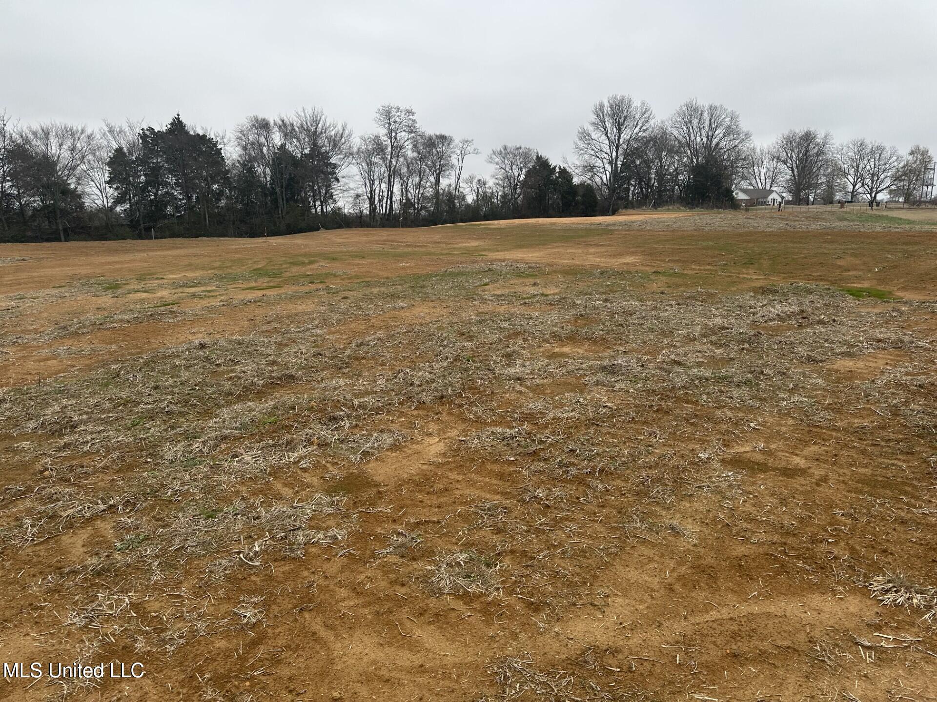 2 Bett Road Coldwater, MS 38618 - Photo 2 of 4 thumbnail_image2