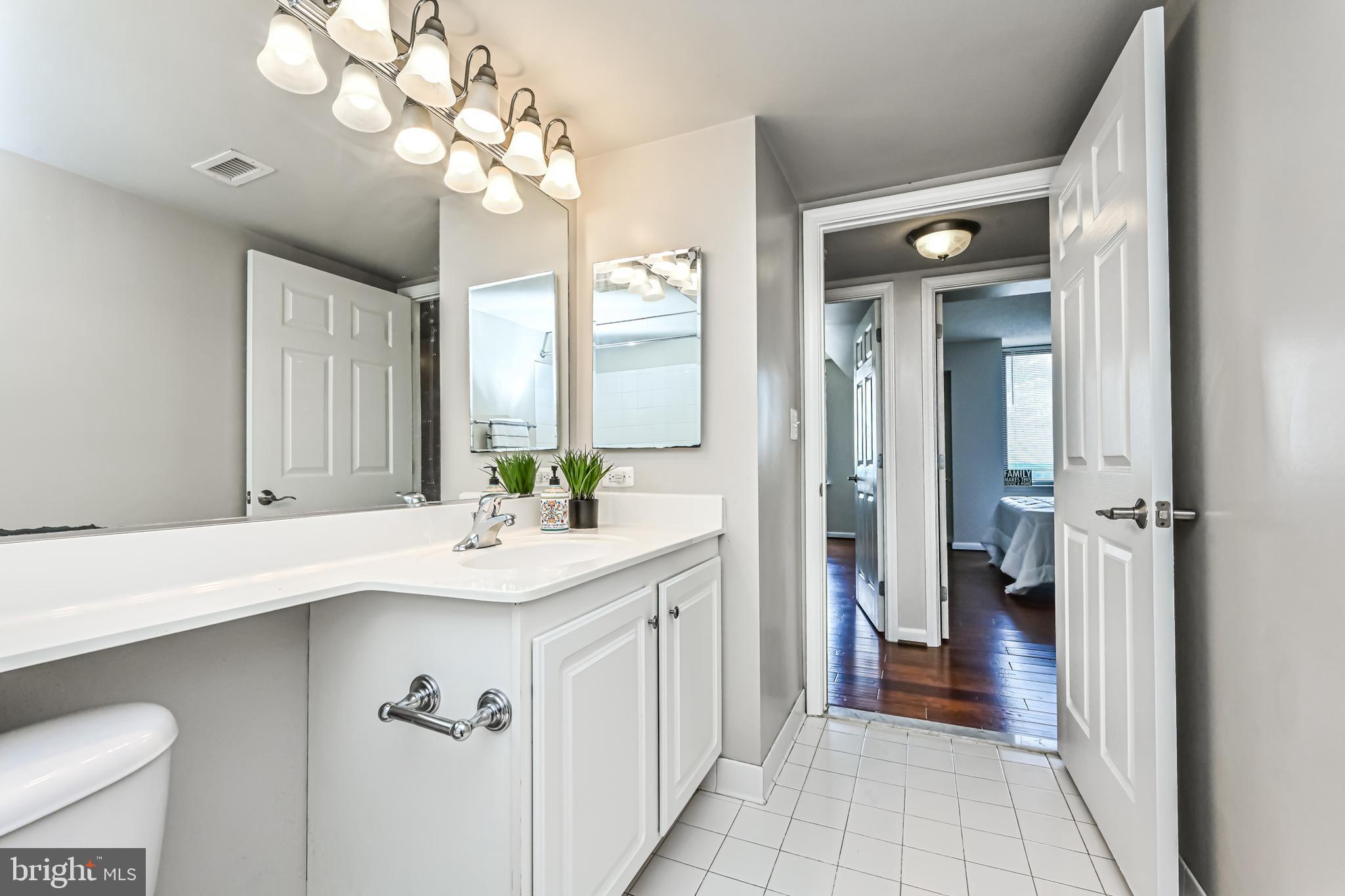 11710 Old Georgetown Road, Unit 1212 Rockville, MD 20852 - Photo 33 of 55 a bathroom with a sink vanity and a mirror