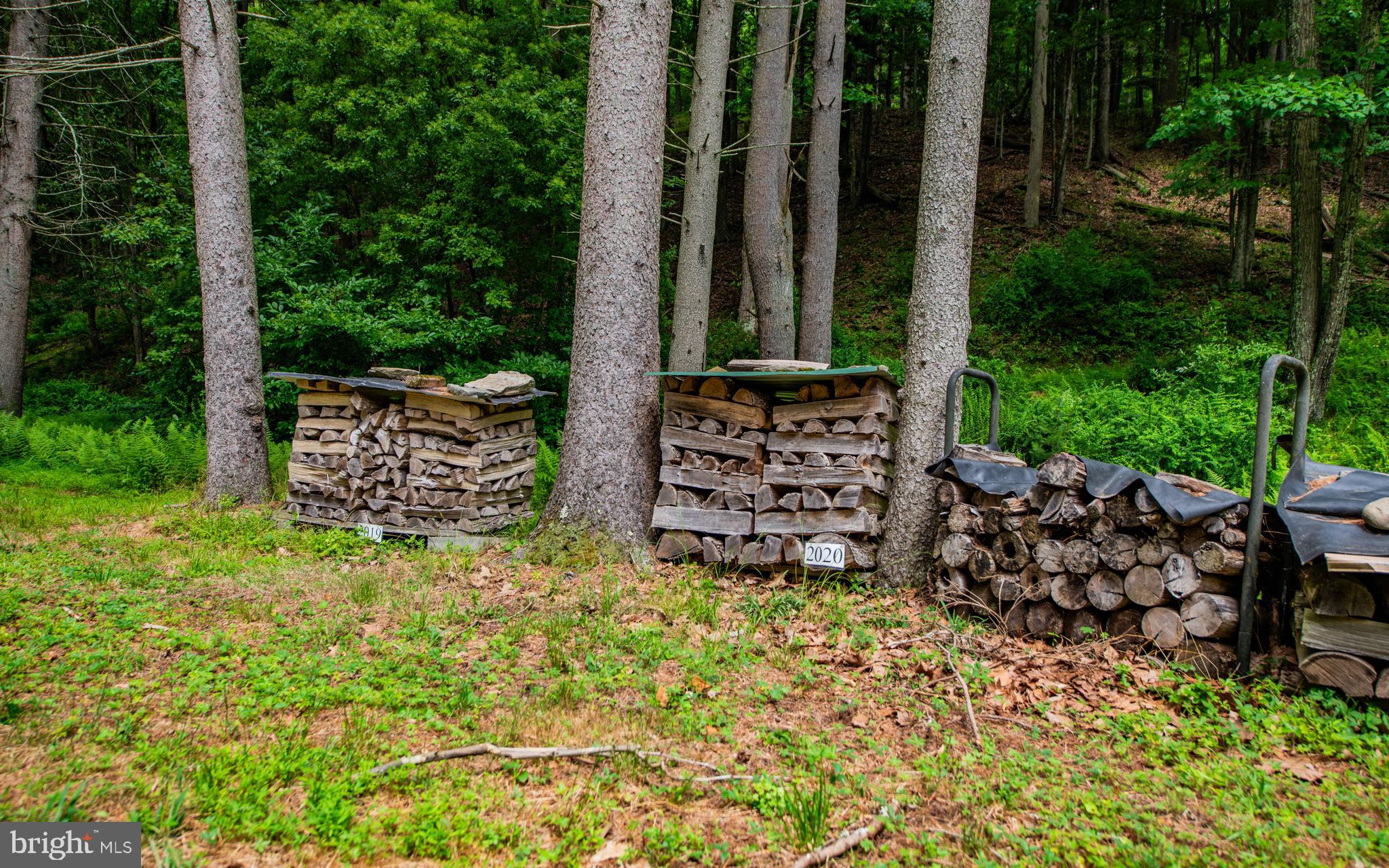 2776 Butternut Grove Road Montoursville, PA 17754 - Photo 31 of 62 Cut/Stacked Wood (Marked by The Year Cut)