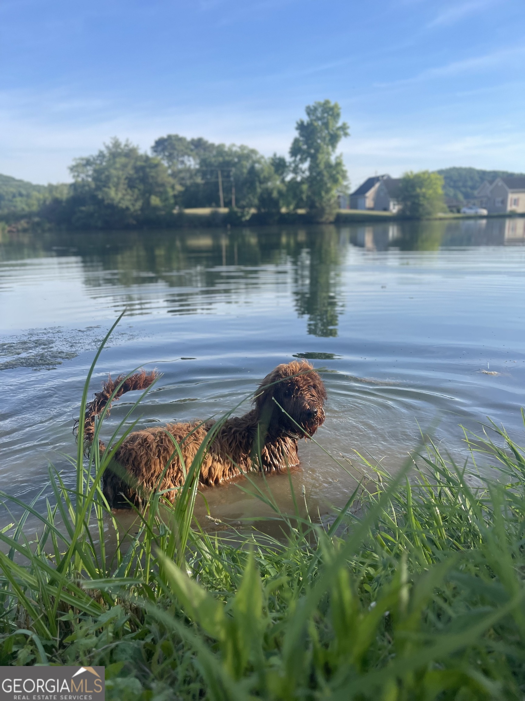 1654 A Ward Mountain Road Northeast, Unit A Rome, GA 30161 - Photo 101 of 120