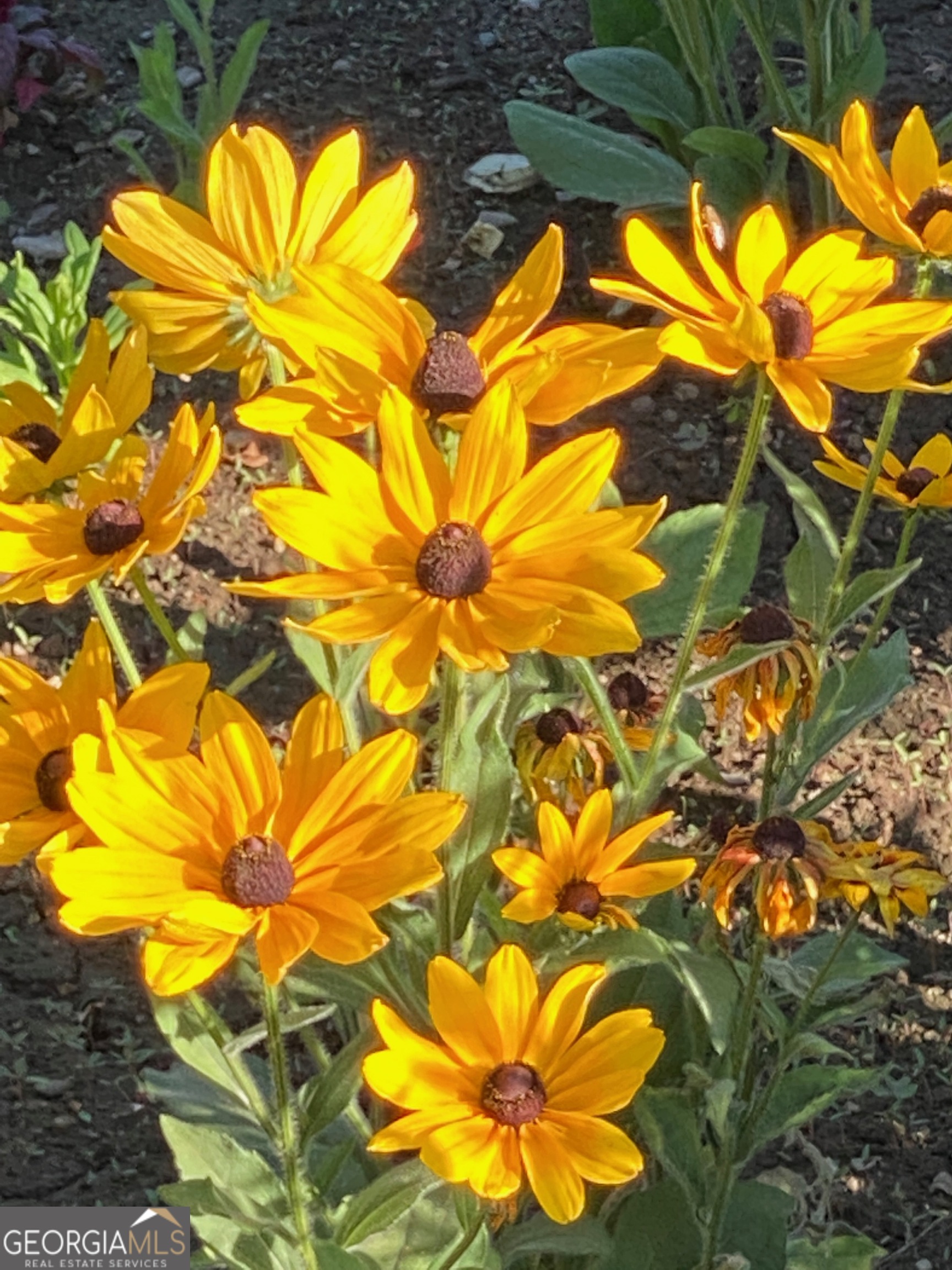 1654 A Ward Mountain Road Northeast, Unit A Rome, GA 30161 - Photo 102 of 120