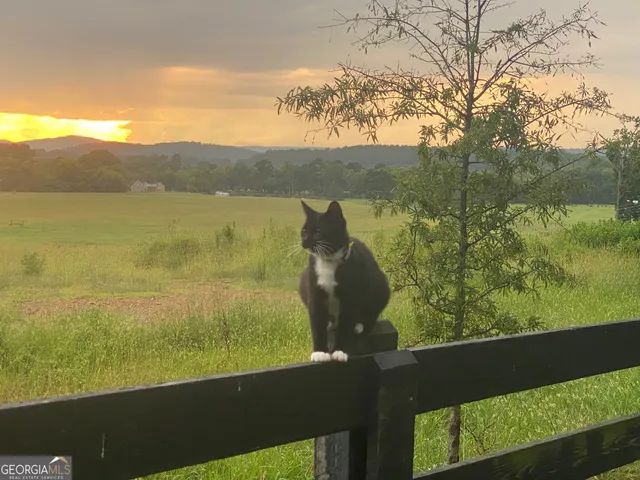 $1,250,000 | 1654 A Ward Mountain Road Northeast, Unit A, Rome, GA 30161