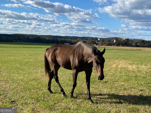 $1,250,000 | 1654 A Ward Mountain Road Northeast, Unit A, Rome, GA 30161