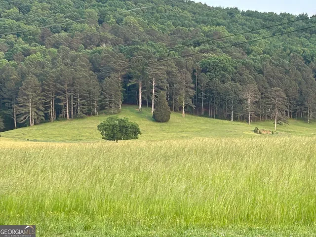 $1,250,000 | 1654 A Ward Mountain Road Northeast, Unit A, Rome, GA 30161