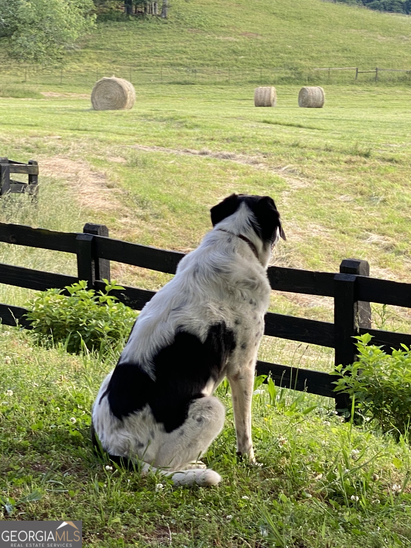 1654 A Ward Mountain Road Northeast, Unit A Rome, GA 30161 - Photo 110 of 120