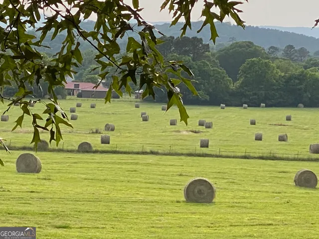 $1,250,000 | 1654 A Ward Mountain Road Northeast, Unit A, Rome, GA 30161