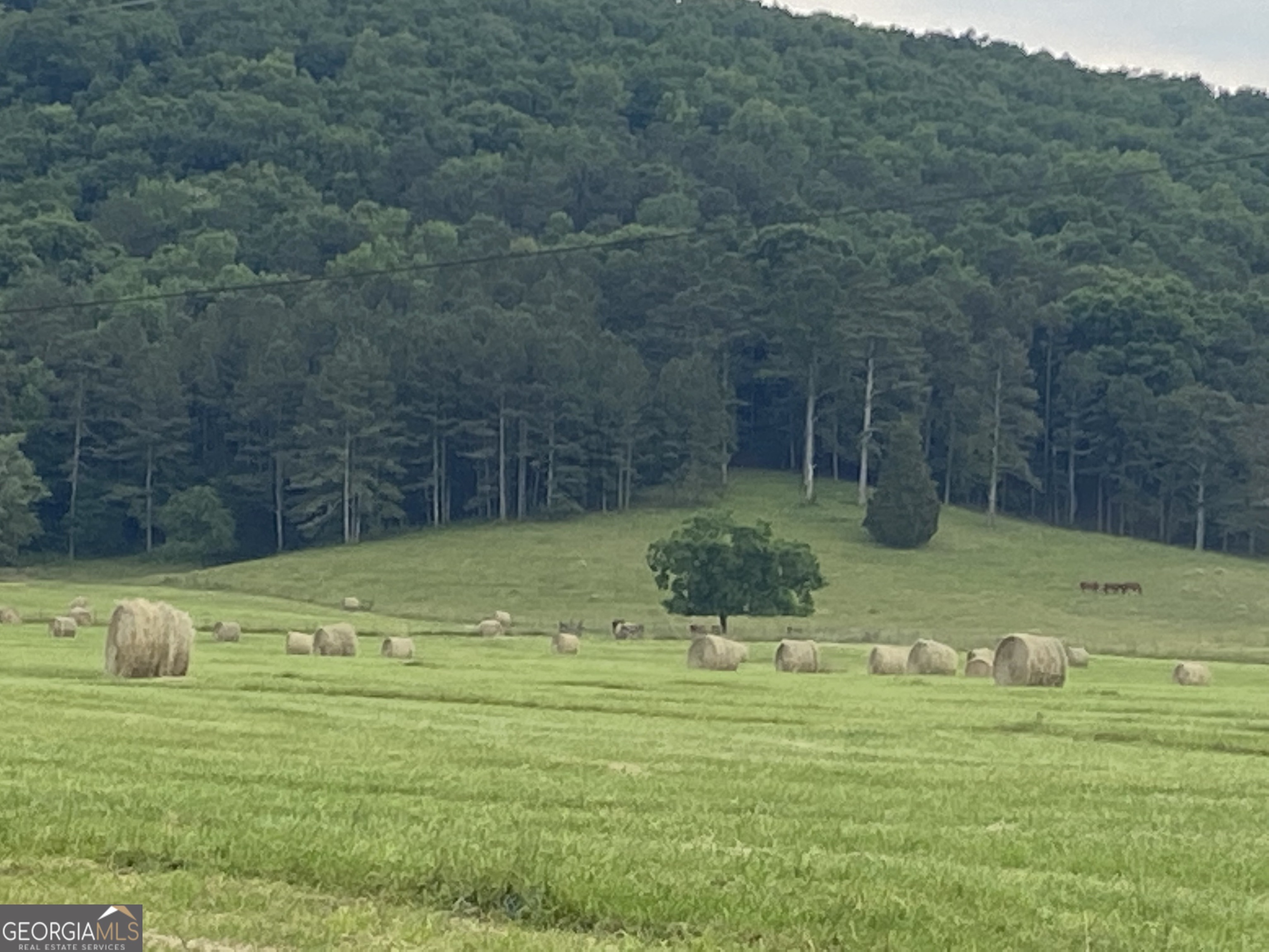 1654 A Ward Mountain Road Northeast, Unit A Rome, GA 30161 - Photo 112 of 120