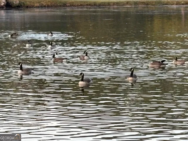 $1,250,000 | 1654 A Ward Mountain Road Northeast, Unit A, Rome, GA 30161