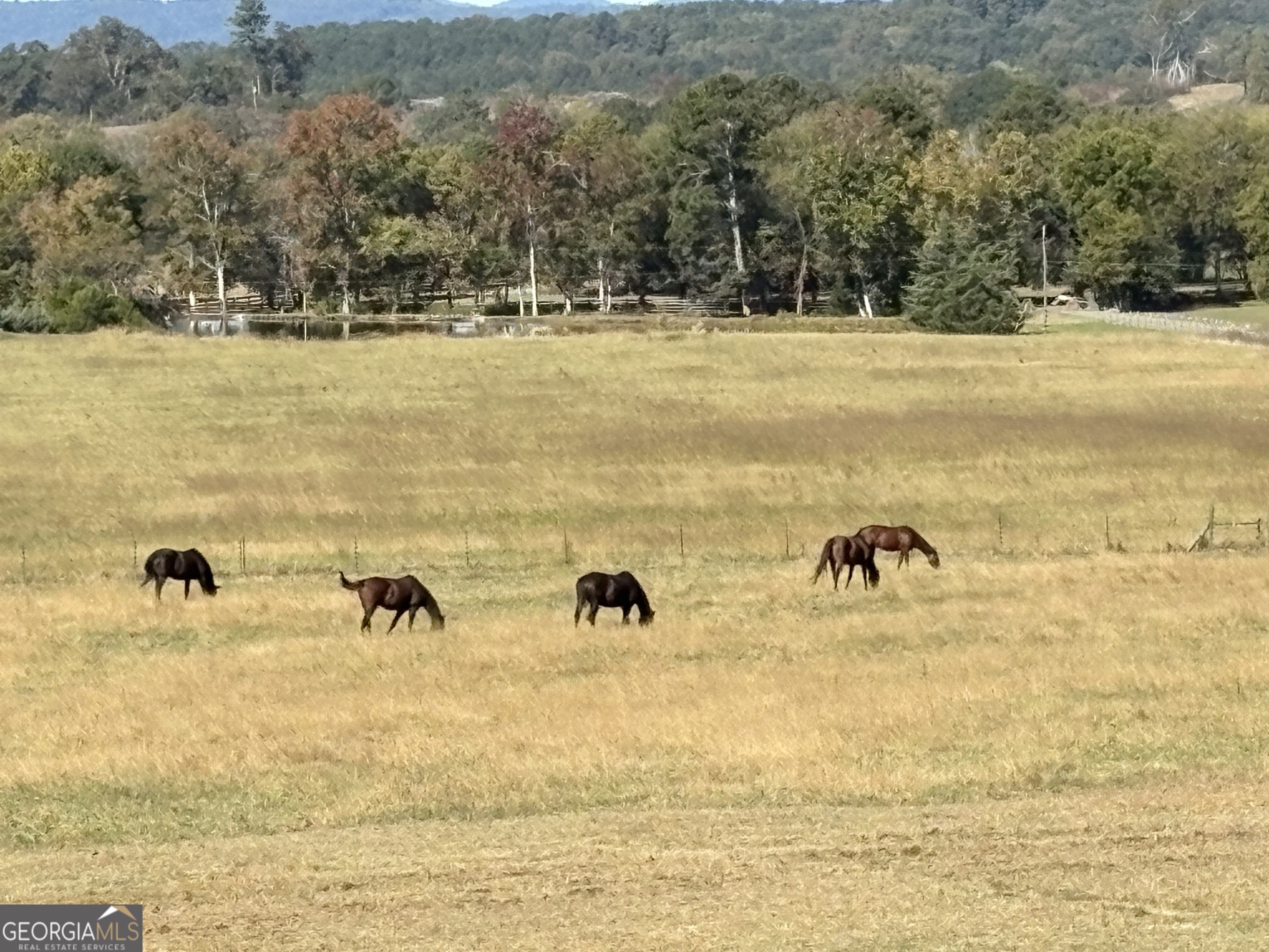 1654 A Ward Mountain Road Northeast, Unit A Rome, GA 30161 - Photo 117 of 120