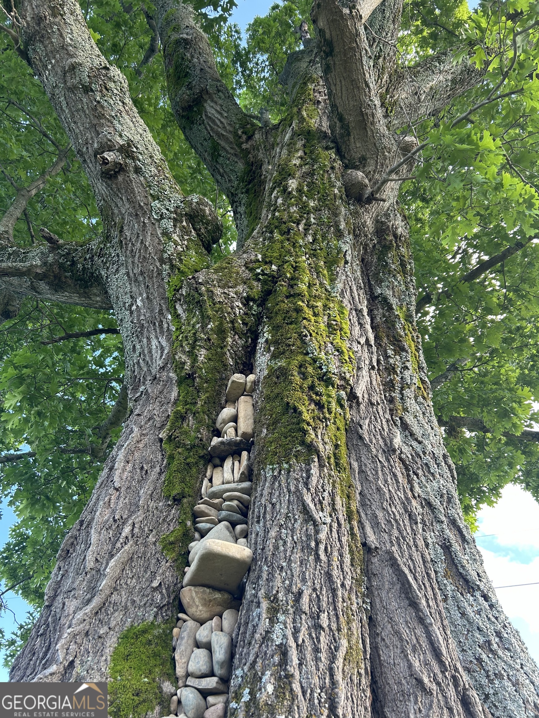 1654 A Ward Mountain Road Northeast, Unit A Rome, GA 30161 - Photo 118 of 120