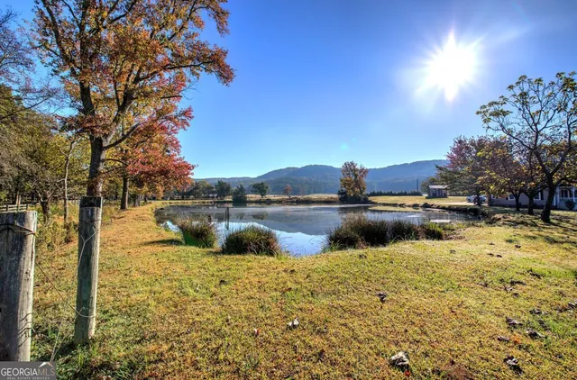 a view of a backyard with wooden fence and large trees