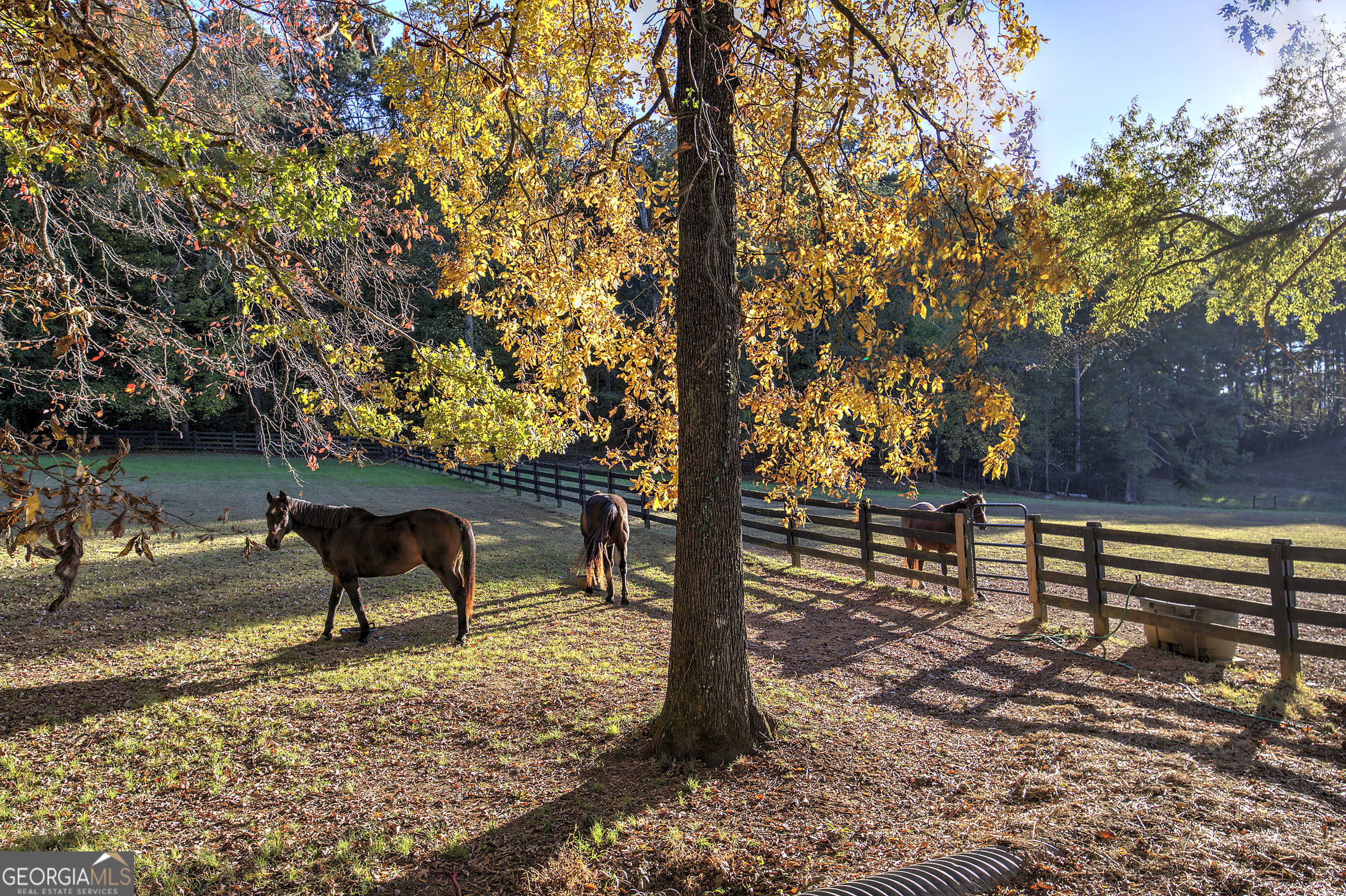 1654 A Ward Mountain Road Northeast, Unit A Rome, GA 30161 - Photo 55 of 120