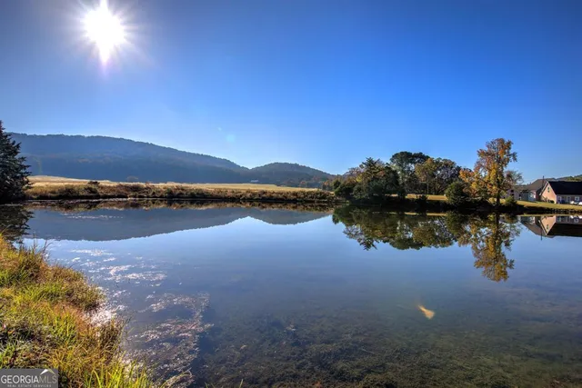 a view of a yard with trees