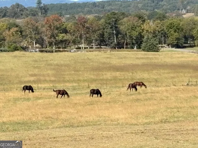 $1,250,000 | 1654 A Ward Mountain Road Northeast, Unit A, Rome, GA 30161