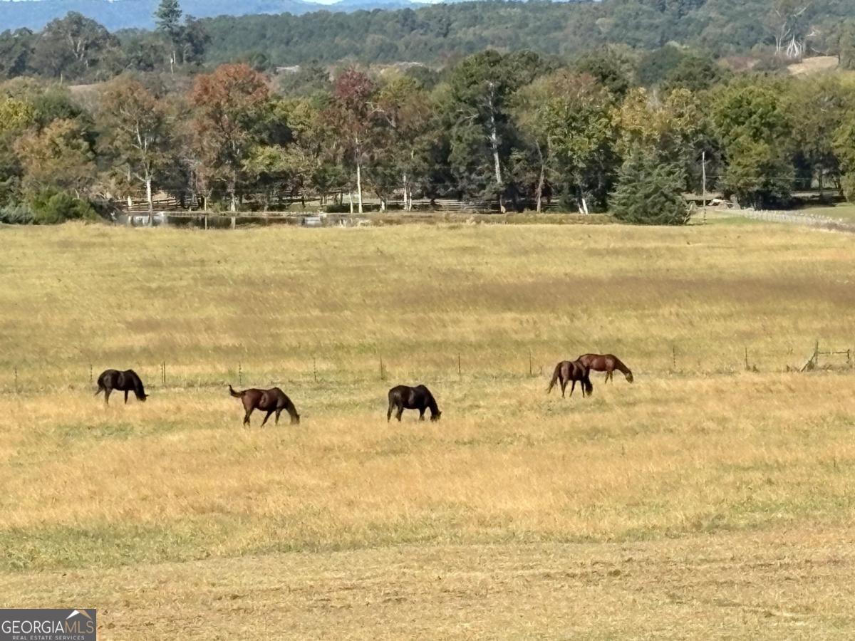 1654 A Ward Mountain Road Northeast, Unit A Rome, GA 30161 - Photo 80 of 120