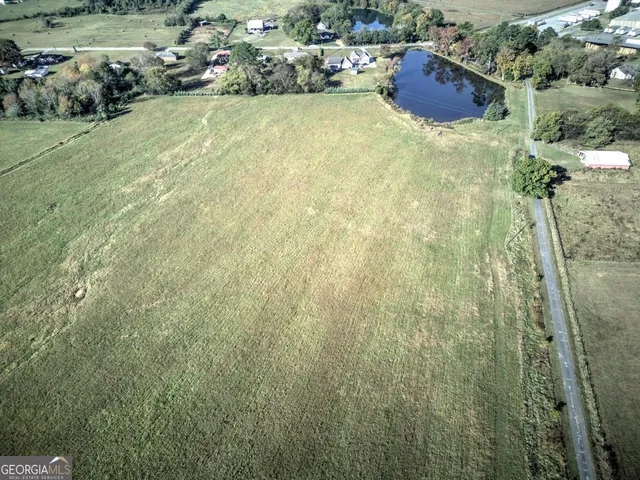 a view of a tree in a yard