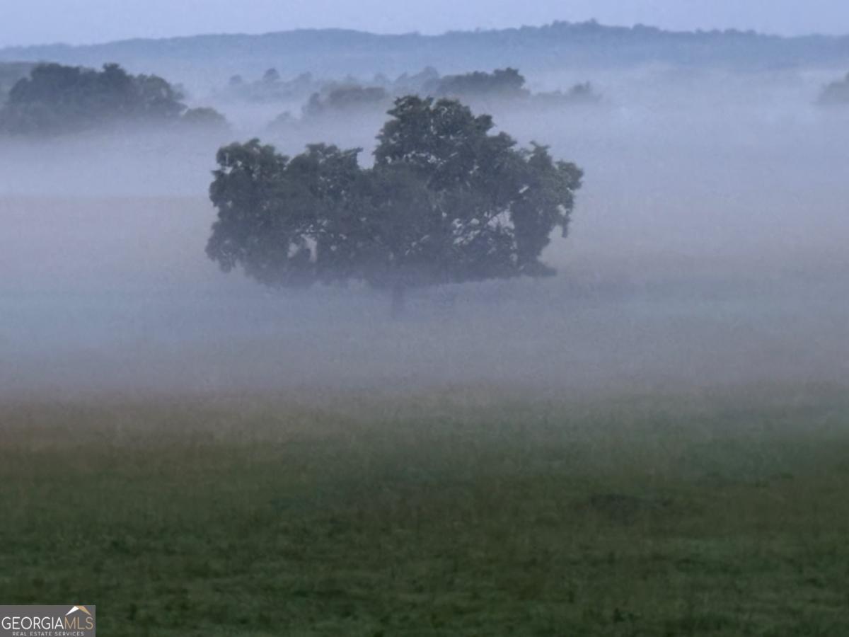 1654 A Ward Mountain Road Northeast, Unit A Rome, GA 30161 - Photo 85 of 120