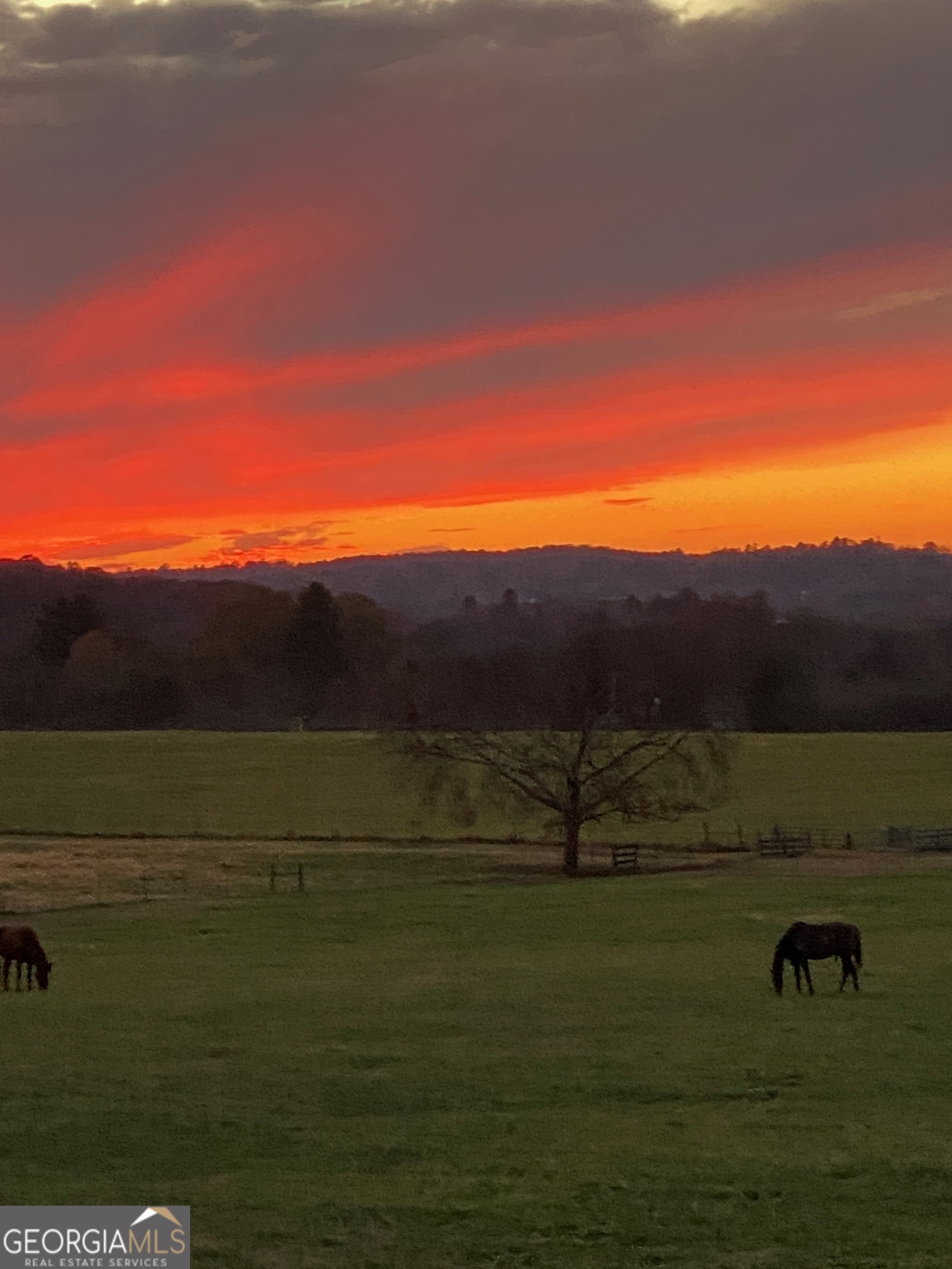 1654 A Ward Mountain Road Northeast, Unit A Rome, GA 30161 - Photo 86 of 120