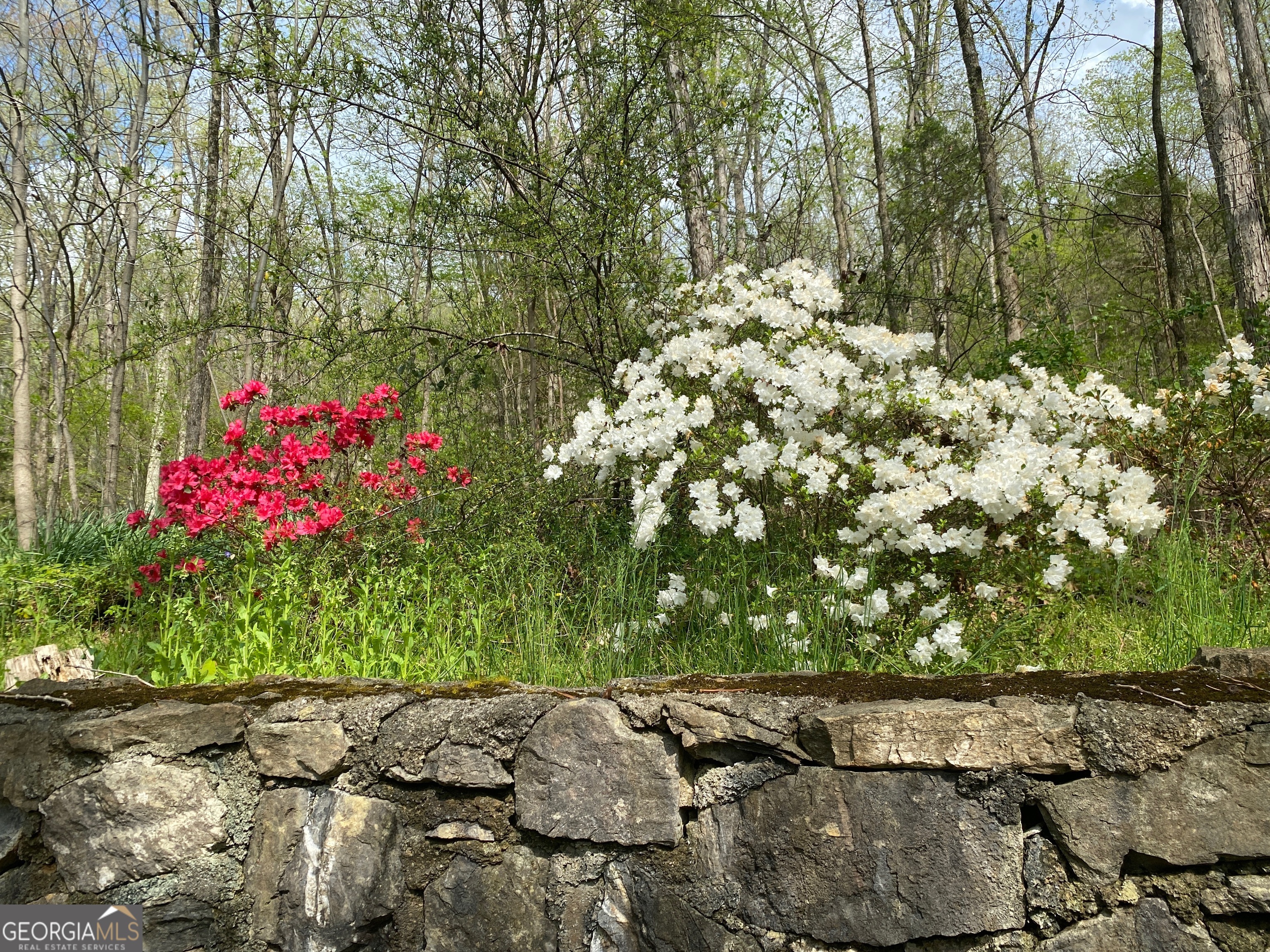 1654 A Ward Mountain Road Northeast, Unit A Rome, GA 30161 - Photo 89 of 120