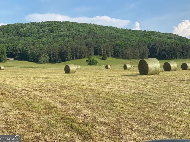 $1,250,000 | 1654 A Ward Mountain Road Northeast, Unit A, Rome, GA 30161