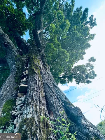 $1,250,000 | 1654 A Ward Mountain Road Northeast, Unit A, Rome, GA 30161