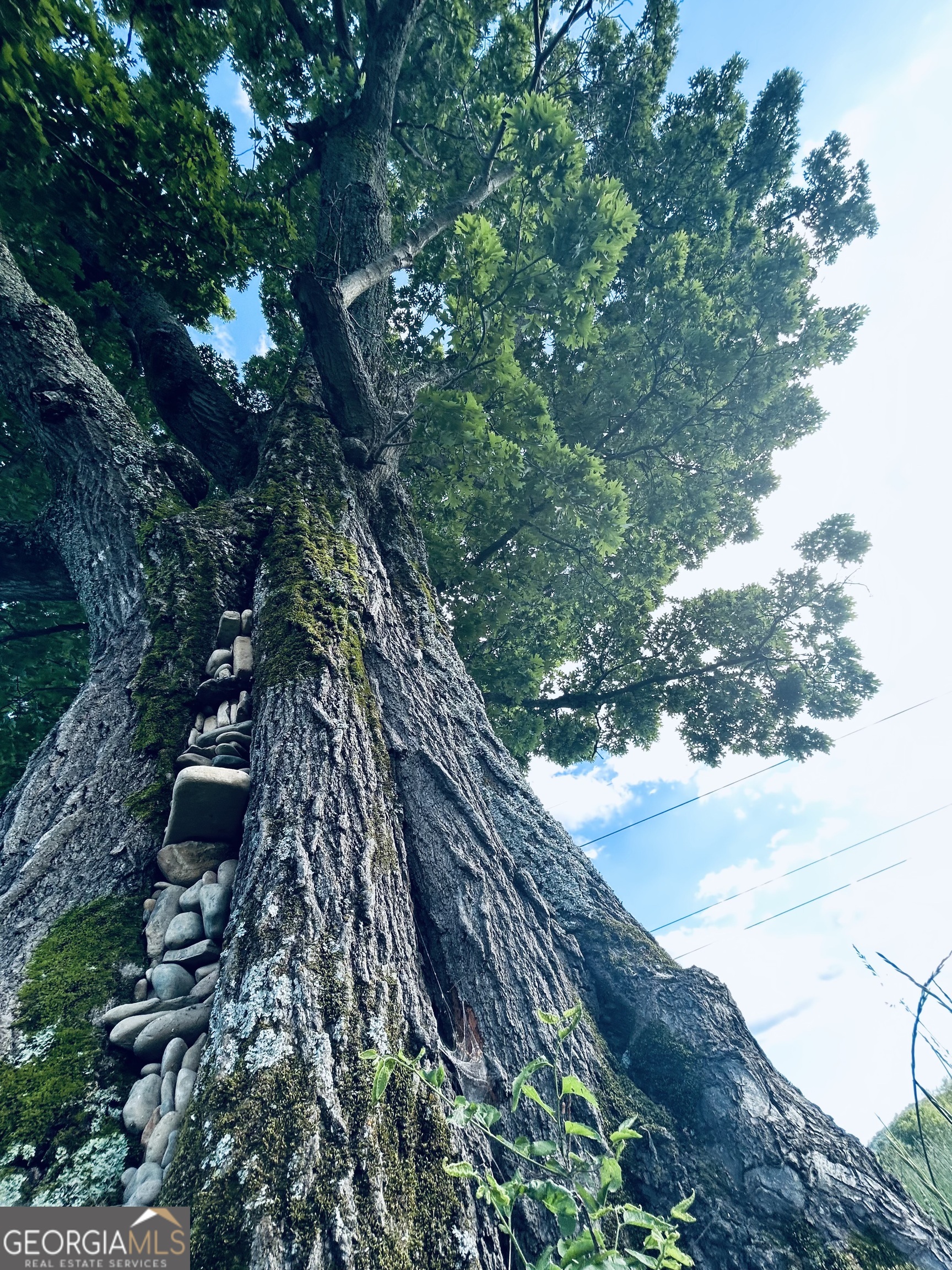 1654 A Ward Mountain Road Northeast, Unit A Rome, GA 30161 - Photo 95 of 120