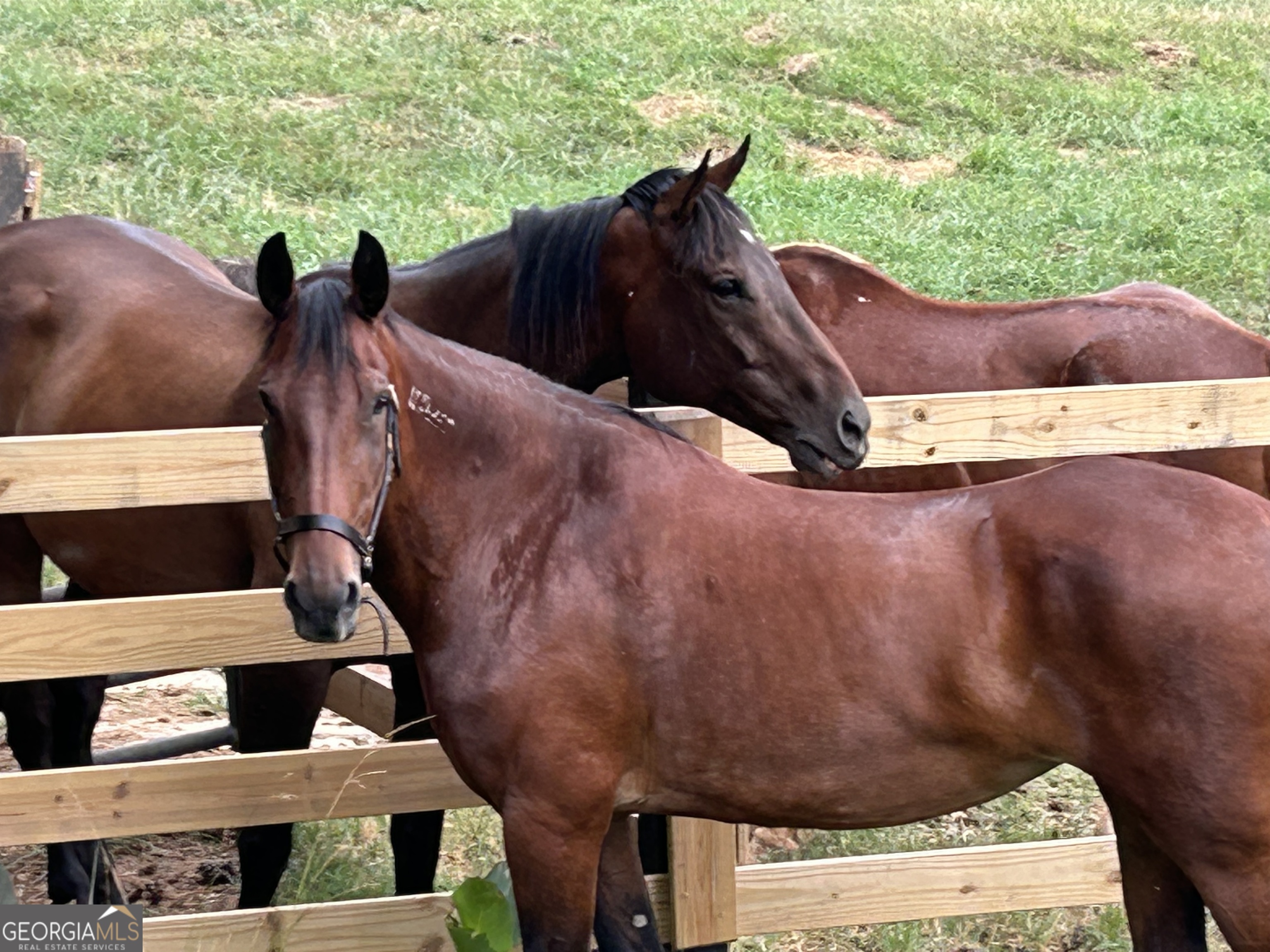 1654 A Ward Mountain Road Northeast, Unit A Rome, GA 30161 - Photo 97 of 120