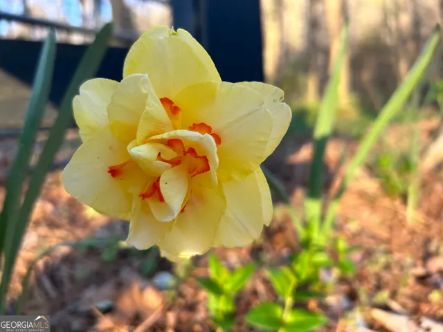 $1,250,000 | 1654 A Ward Mountain Road Northeast, Unit A, Rome, GA 30161