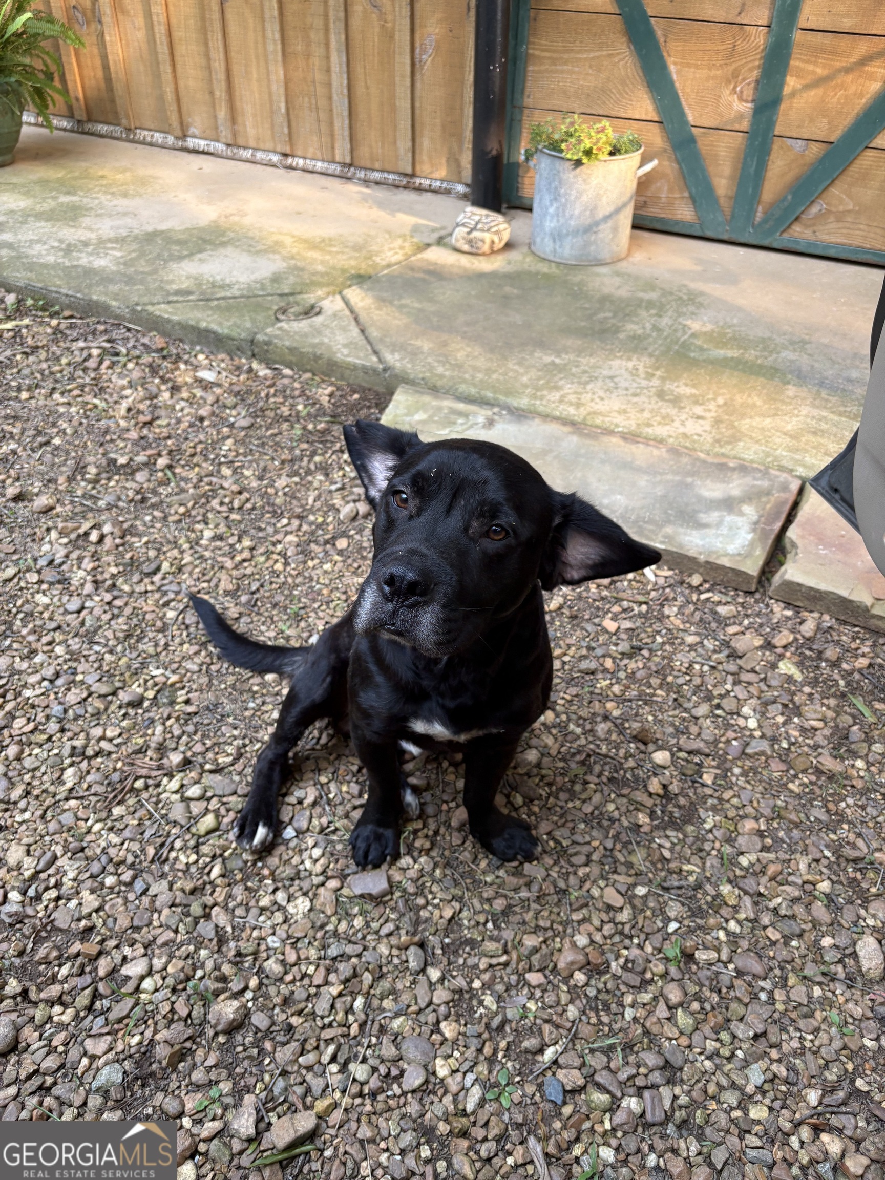 1654 A Ward Mountain Road Northeast, Unit A Rome, GA 30161 - Photo 99 of 120