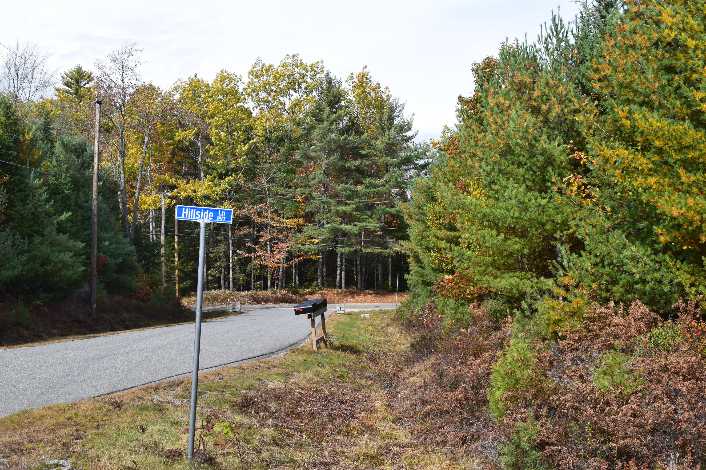 Lot 11 Surry Ridge Surry, ME 04684 - Photo 13 of 14 DSC_0538