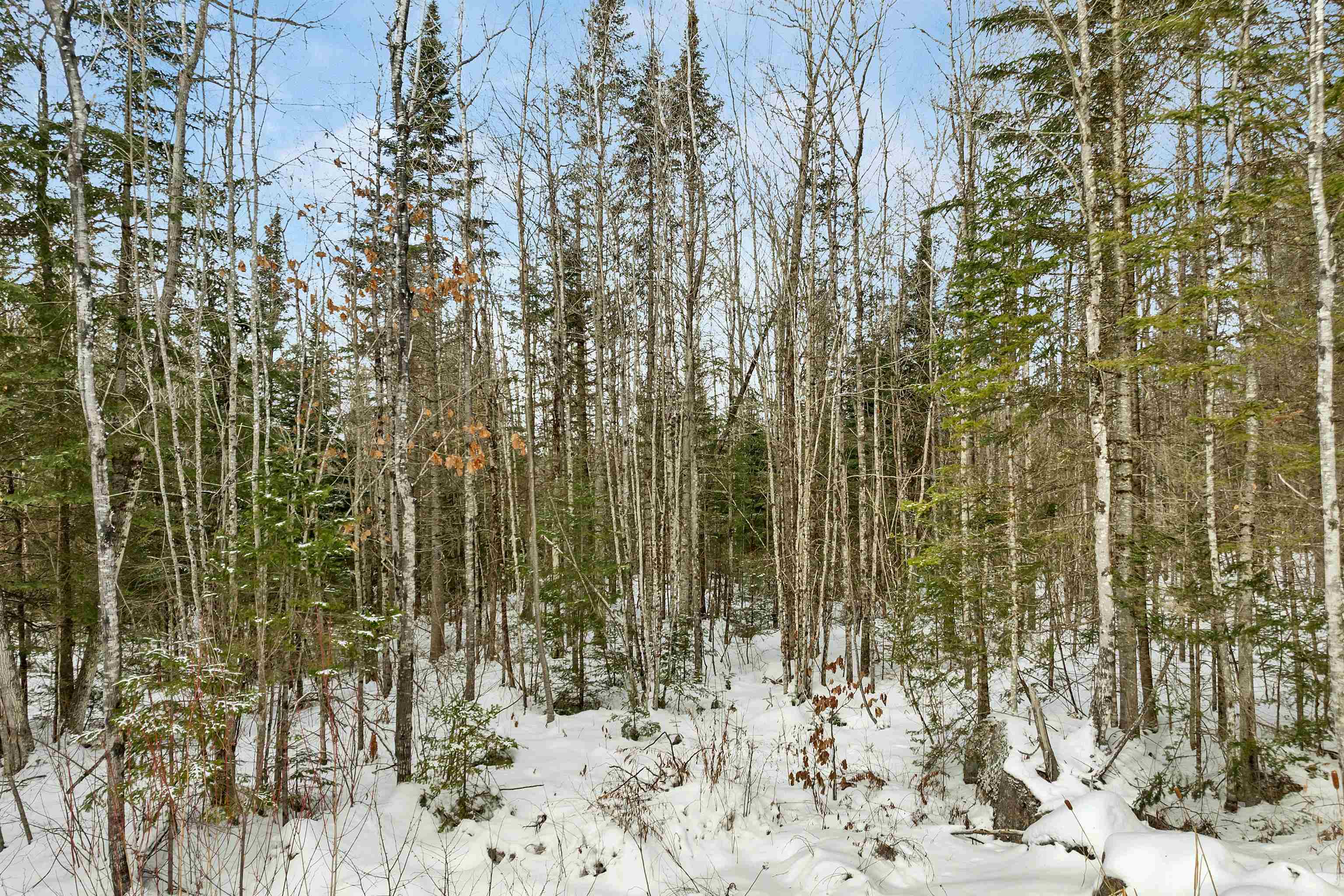 507 West Side Road Whitefield, NH 03574 - Photo 8 of 10 Gallery Image 8