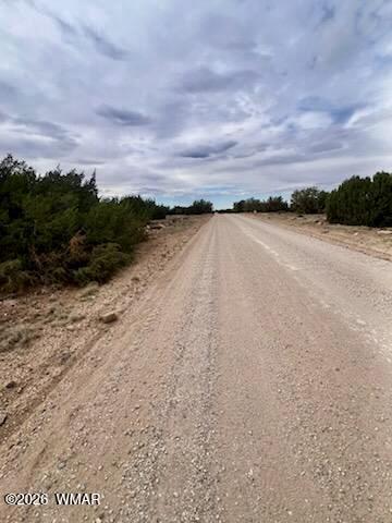108 Co Road Concho, AZ 85924 - Photo 1 of 1