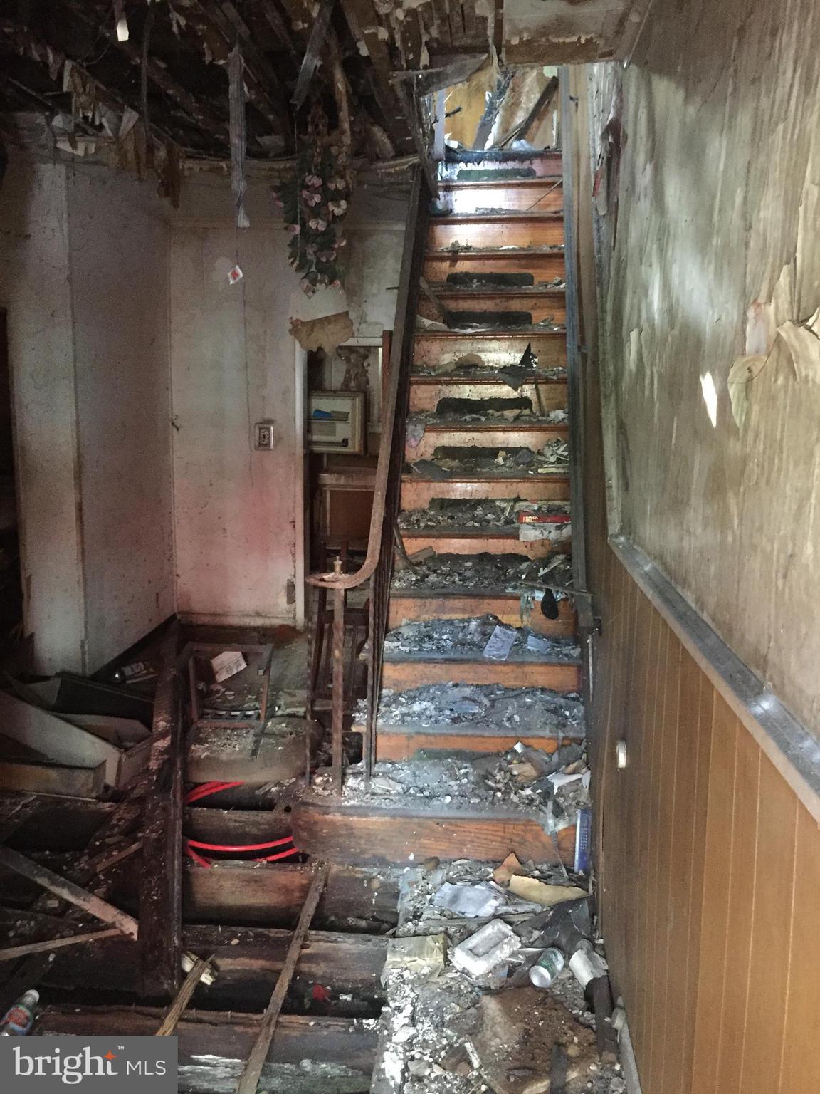 3113 Reach Street Philadelphia, PA 19134 - Photo 2 of 10