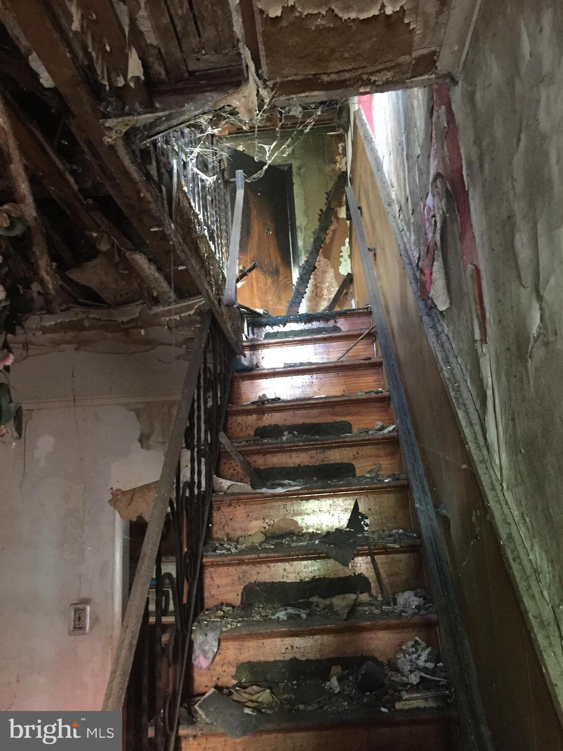 3113 Reach Street Philadelphia, PA 19134 - Photo 4 of 10