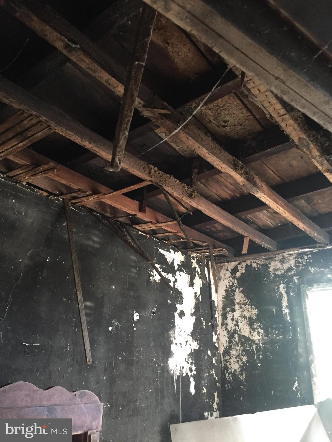 3113 Reach Street Philadelphia, PA 19134 - Photo 6 of 10