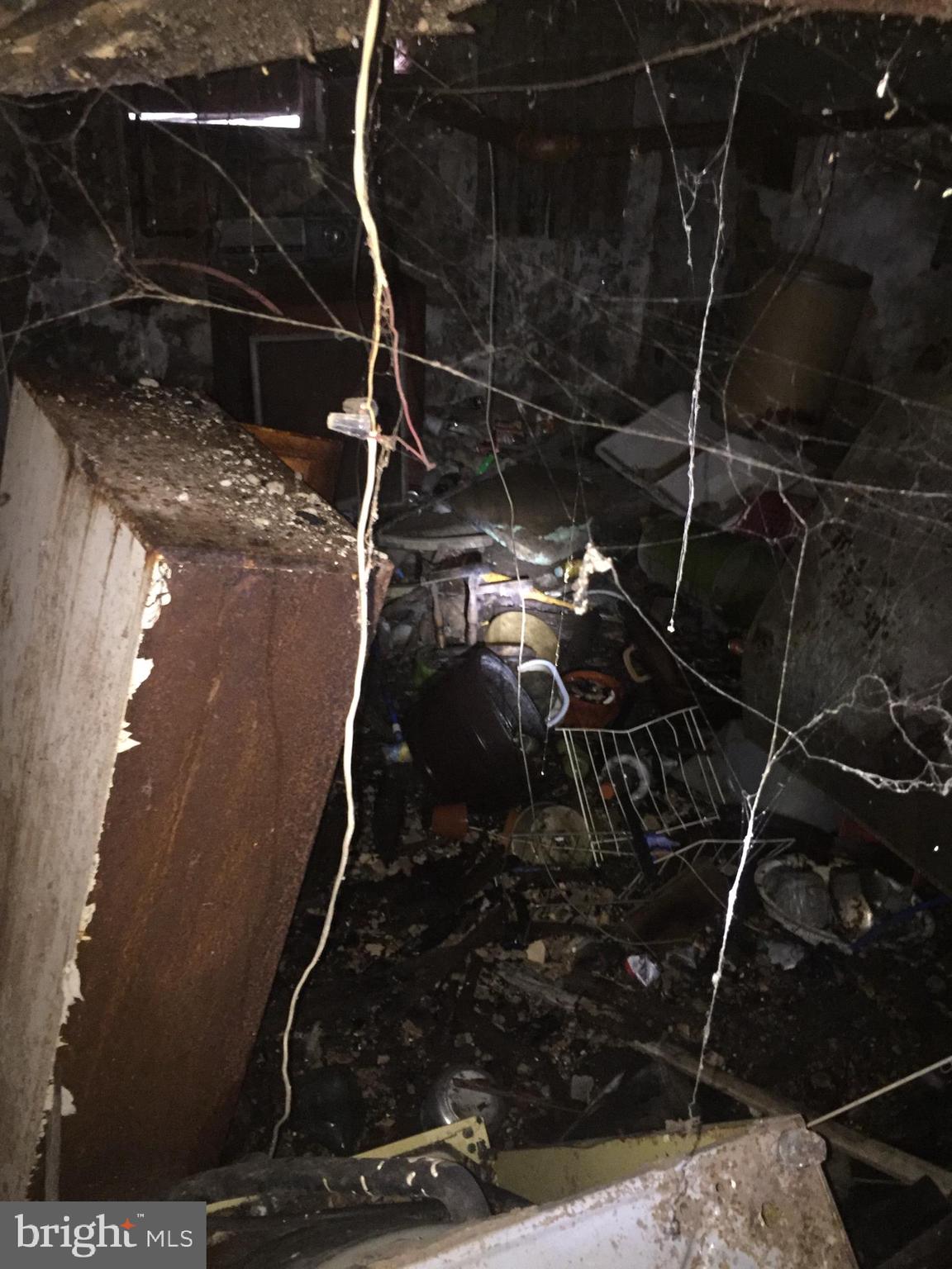 3113 Reach Street Philadelphia, PA 19134 - Photo 10 of 10